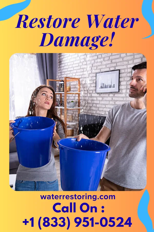 water restoration Beacon Water Mitigation Network Sugar Land