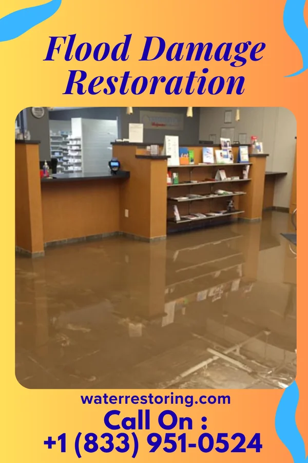 Flood Damage Restoration in Sugar Land, TX