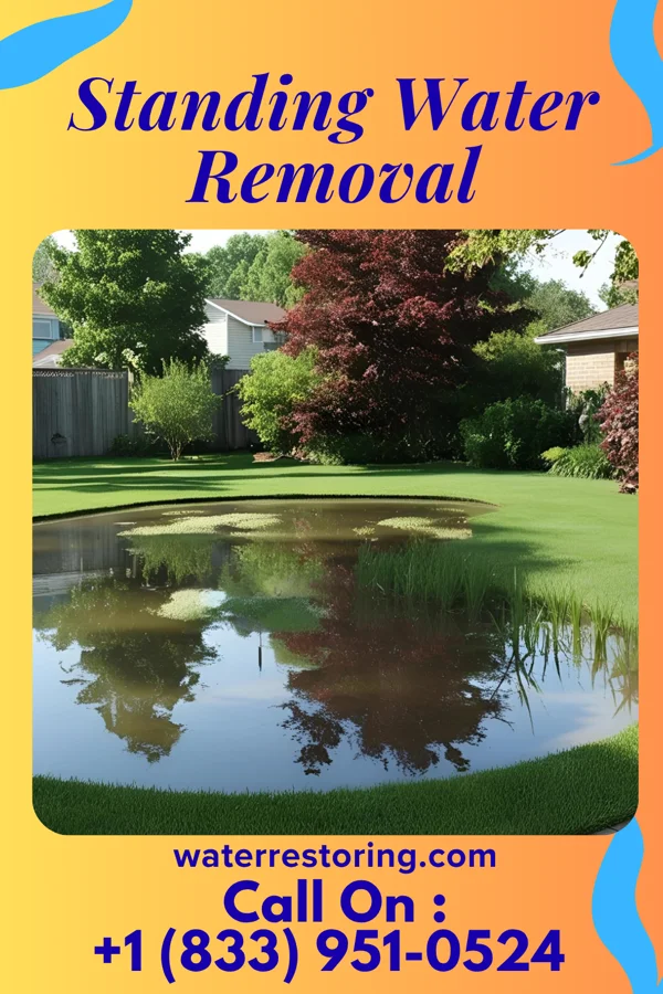 Standing Water Removal in Sugar Land, TX